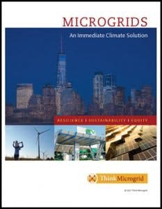 ThnkMicgrogrid_Cover2-233x300 ThnkMicgrogrid_Cover2-233x300