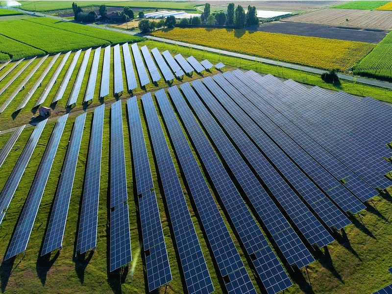 By Fly_and_Dive/Shutterstock.com