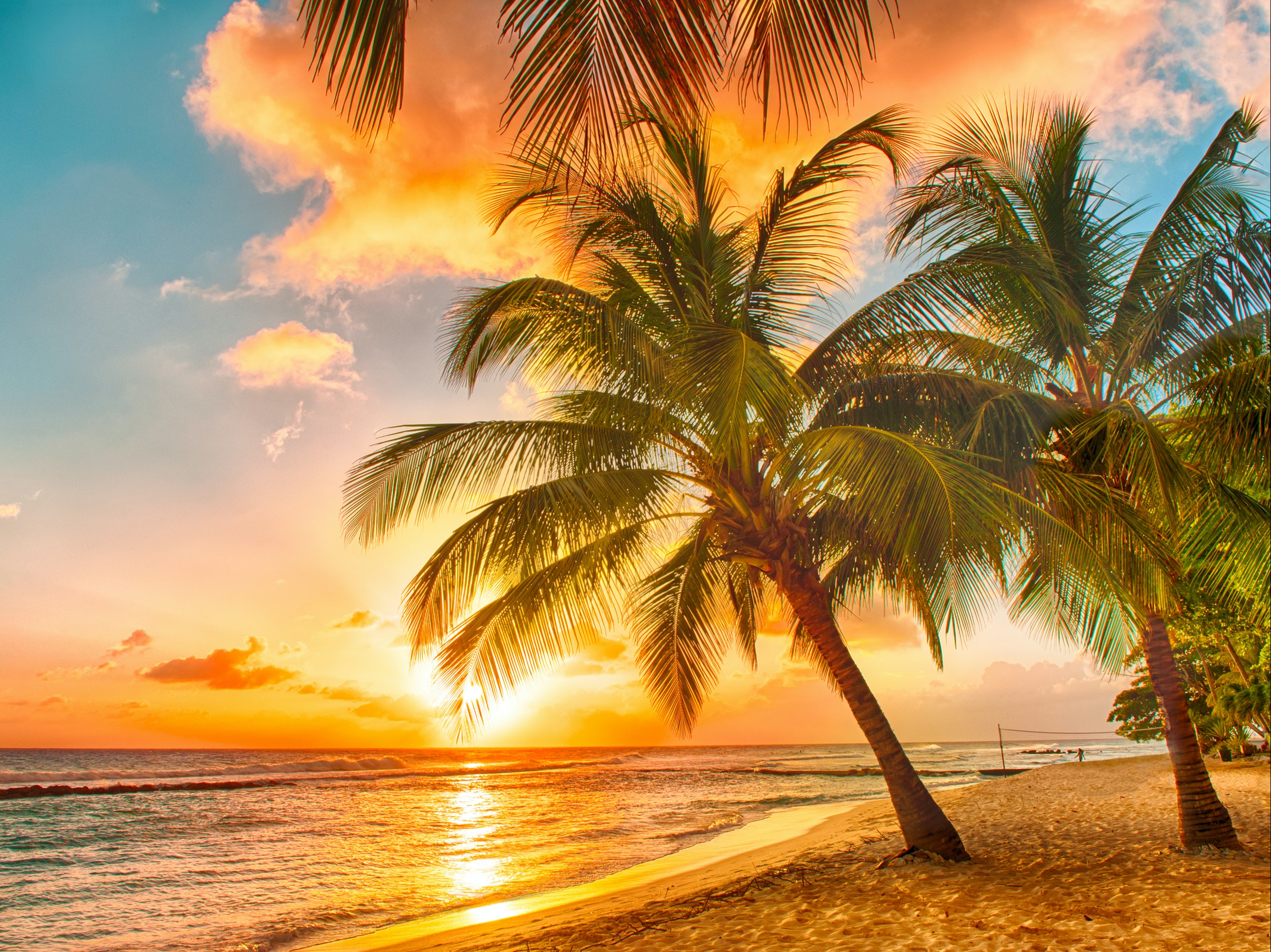 By Filip Fuxa/Shutterstock.com