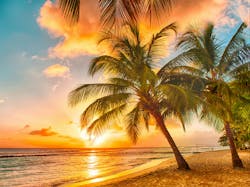 By Filip Fuxa/Shutterstock.com By Filip Fuxa/Shutterstock.com