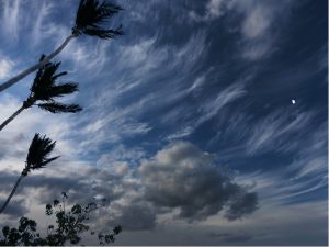 1663213087818 Floridahurricane300x225