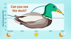 duck-curve-300x225