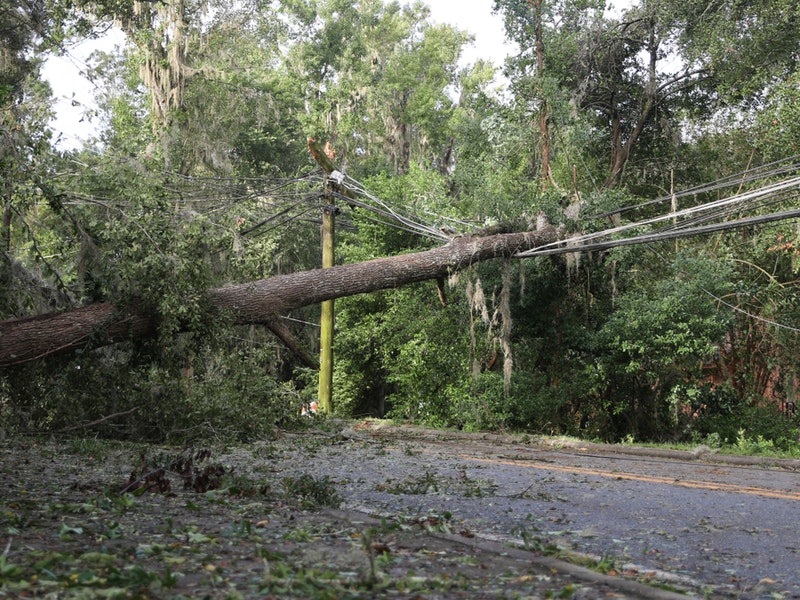 By KMH Photovideo/Shutterstock.com