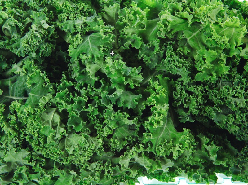 By Gregory Gerber/Shutterstock.com