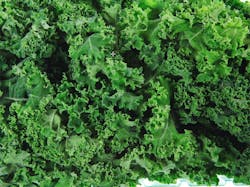 By Gregory Gerber/Shutterstock.com By Gregory Gerber/Shutterstock.com