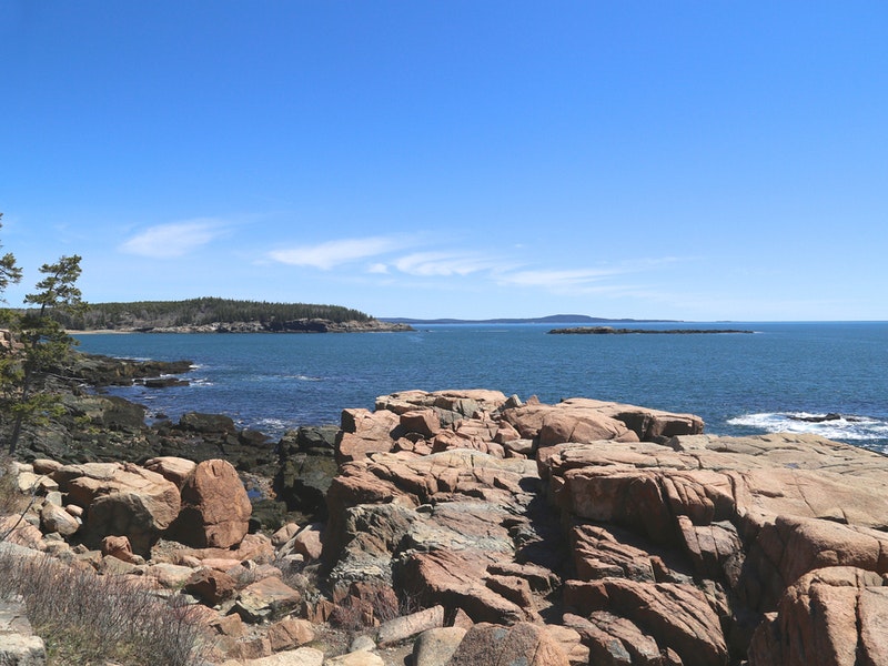 Coast of Mount Desert Island, Maine. Photo by vagabond54/Shutterstock.com