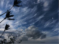 By Elijah Lovkoff/Shutterstock.com By Elijah Lovkoff/Shutterstock.com