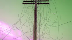 By Igor Klyakhin/Shutterstock.com