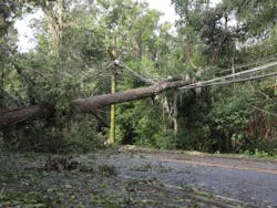 Tallahassee carousel Tallahassee carousel
