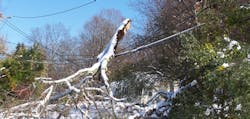 An early snow fall in Ocrober 2011 brought down tree limbs heavy with leaves causing lengthy power outages in power outages. Photo by Gina Jacobs/Shutterstock.com An early snow fall in Ocrober 2011 brought down tree limbs heavy with leaves causing lengthy power outages in power outages. Photo by Gina Jacobs/Shutterstock.com