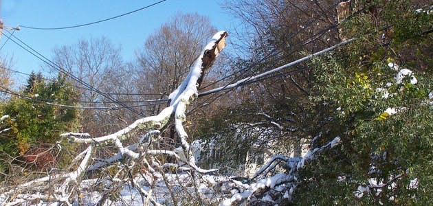 An early snow fall in Ocrober 2011 brought down tree limbs heavy with leaves causing lengthy power outages in power outages. Photo by Gina Jacobs/Shutterstock.com