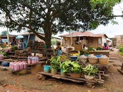Local fruit market in Ondo, Nigeria. Photo by By Jordi C/Shutterstock.com