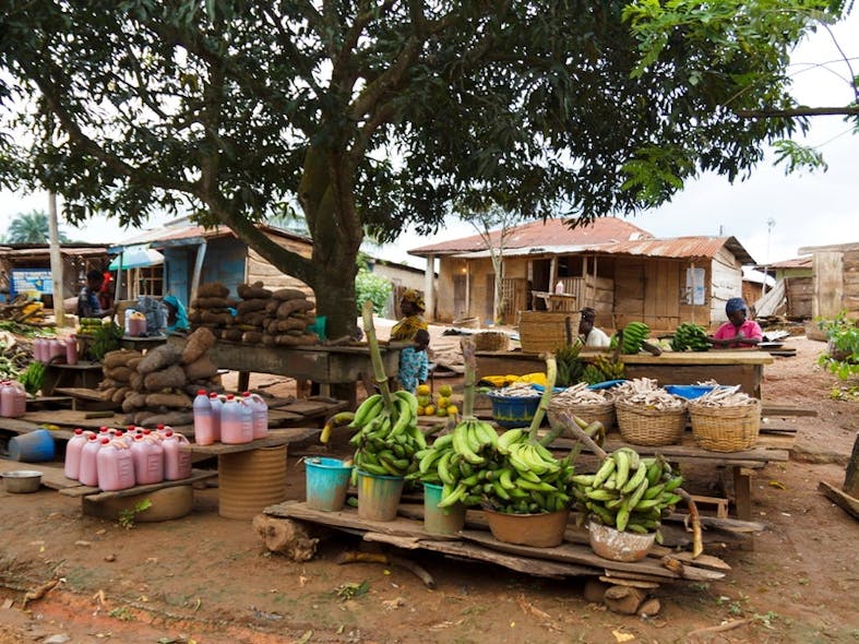 Local fruit market in Ondo, Nigeria. Photo by By Jordi C/Shutterstock.com
