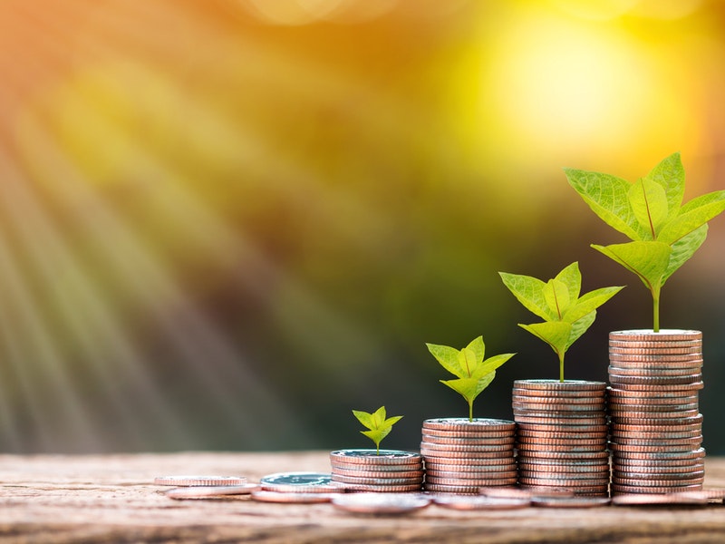 Photo by Watchara Ritjan/Shutterstock.com