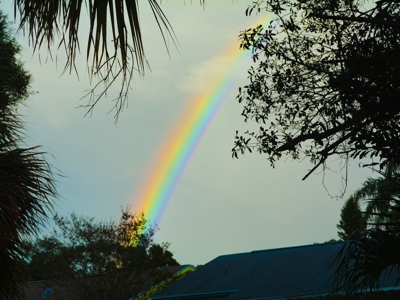 Post hurricane rainbow by Robert Blouin/Shutterstock.com