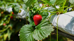 By ESstock/Shutterstock
