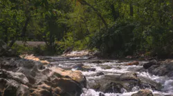 Hot-Springs-North-Carolina-72-dpi-300x225