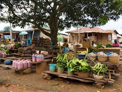 Ondo, Nigeria. Credit Jordi C/Shutterstock.com Ondo, Nigeria. Credit Jordi C/Shutterstock.com