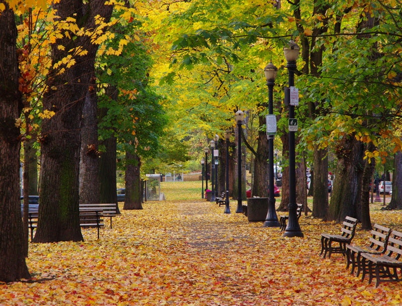 The microgrid statues are classic Portland, a city known for its green efforts By LO Kin-hei/Shutterstock.com