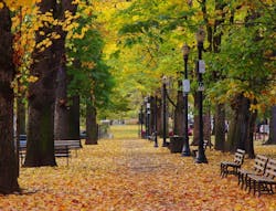 The microgrid statues are classic Portland, a city known for its green efforts By LO Kin-hei/Shutterstock.com The microgrid statues are classic Portland, a city known for its green efforts By LO Kin-hei/Shutterstock.com