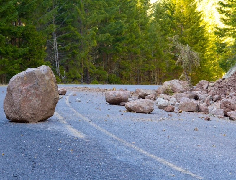 By Joshua Rainey Photography/Shutterstock.com