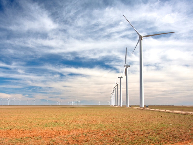 By Sarah Fields Photography/Shutterstock.com