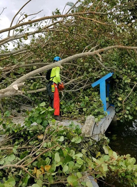 Florida&rsquo;s Biscayne National Park following Hurricane Irma. Credit National Park Service