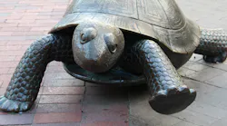 Trinity Church Boston – Turtle and Hare. Credit: Bill Damon