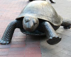 Trinity Church Boston – Turtle and Hare. Credit: Bill Damon Trinity Church Boston – Turtle and Hare. Credit: Bill Damon