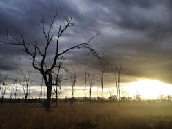 The Australian Outback. Photo: Wikimedia Commons by Artsoceans. The Australian Outback. Photo: Wikimedia Commons by Artsoceans.