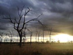 Australia_Outback-300x225 Australia_Outback-300x225