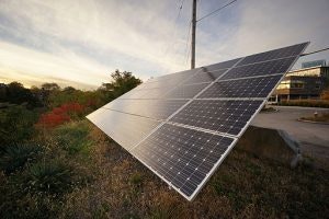 1663215608152 Phipps Conservatory 24300x200