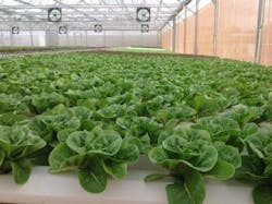 1663215746755 11162079 802794109807871 6968554523620090910 N2300x224 1663215746755 11162079 802794109807871 6968554523620090910 N2300x224