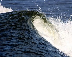 1663215786930 Wave300x238