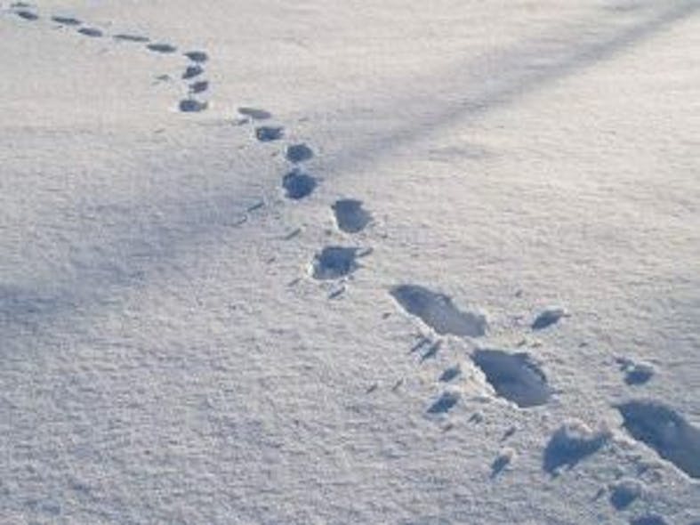 footprint-in-snow2-300x225