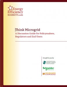 Think-Microgrid-Cover-231x300