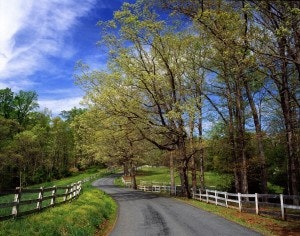 1663216527557 Charlottesvilleresized1300x236