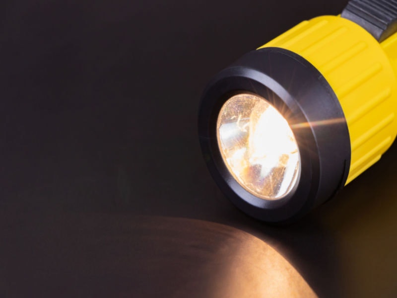 Princess_Anmitsu/Shutterstock.com