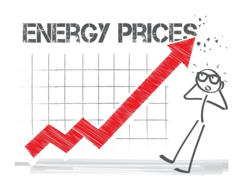 Trueffelpix/Shutterstock.com