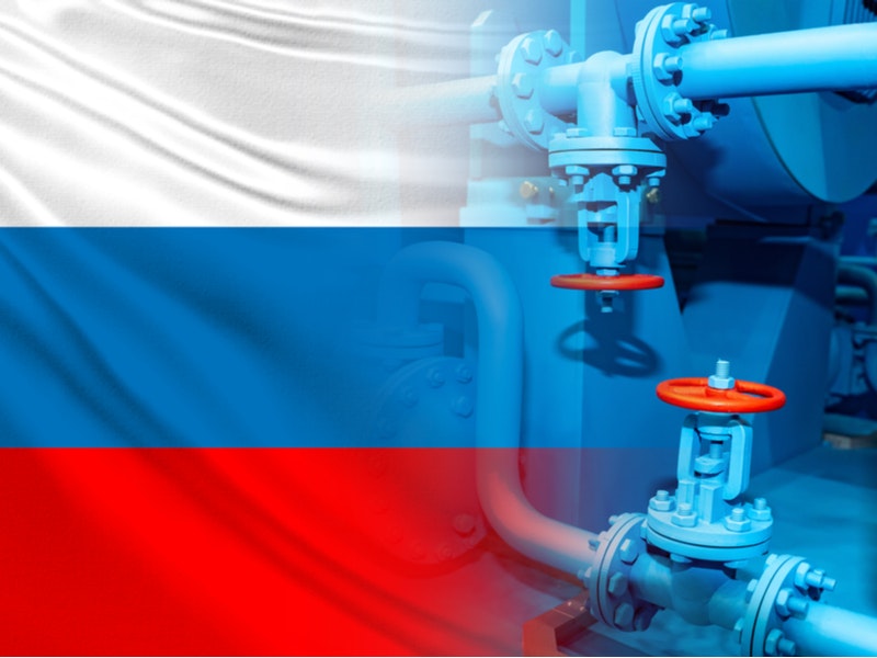 FOTOGRIN/Shutterstock.com