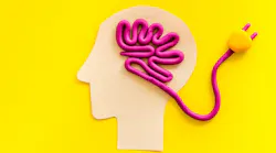 9dreamstudio/Shutterstock.com