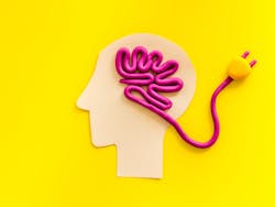 9dreamstudio/Shutterstock.com 9dreamstudio/Shutterstock.com