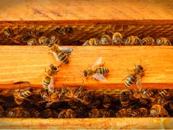 weter78/Shutterstock.com weter78/Shutterstock.com