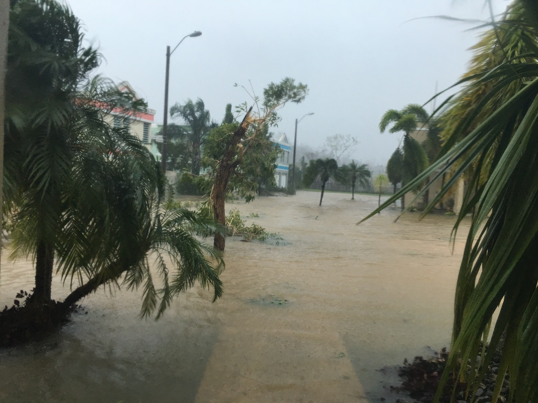 Flooding Caused by Hurricane Maria in San Juan, Photo Courtesy Javier Rua-Jovet, SESA