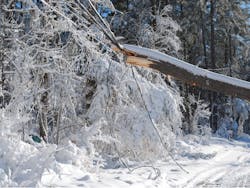 By DejaVuDesigns/Shutterstock.com By DejaVuDesigns/Shutterstock.com