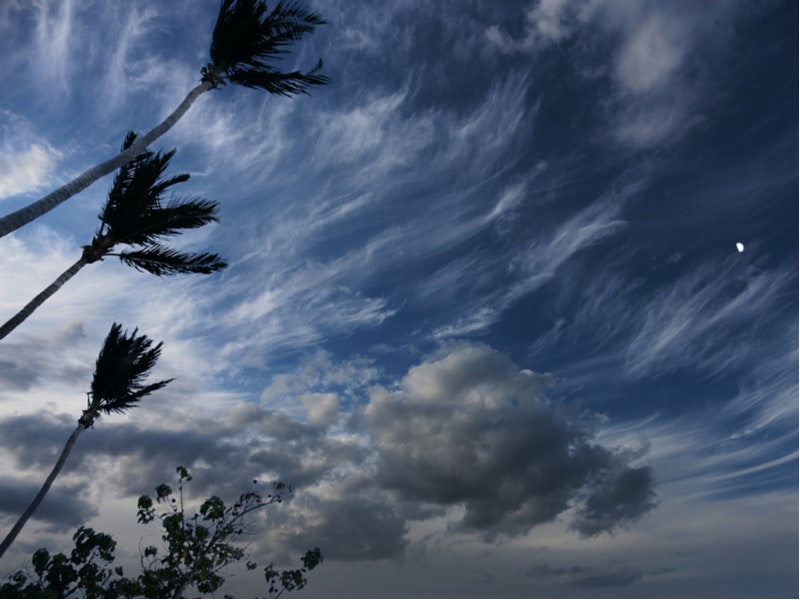 By eskystudio/Shutterstock