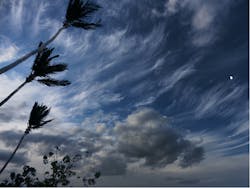 By eskystudio/Shutterstock By eskystudio/Shutterstock