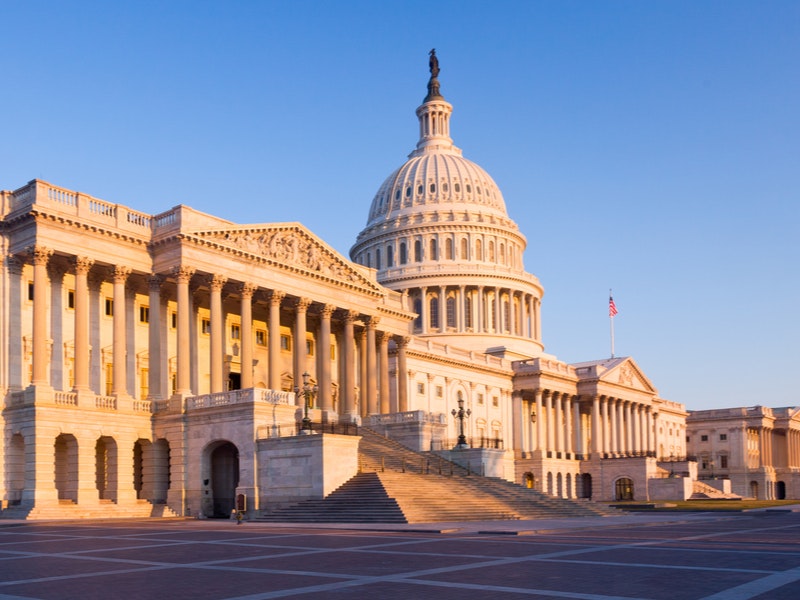 US Capitol at sunrise. By Steve Heap/Shutterstock.com