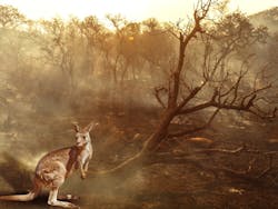 By Benny Marty/Shutterstock.com By Benny Marty/Shutterstock.com