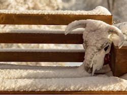 By J nel/Shutterstock.com By J nel/Shutterstock.com